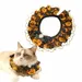 FurryFusion Halloween-Kürbis-Spitzenhalsband für Katzen
