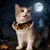 FurryFusion Collier en dentelle pour chat citrouille d'Halloween