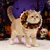 FurryFusion Collier en dentelle pour chat citrouille d'Halloween