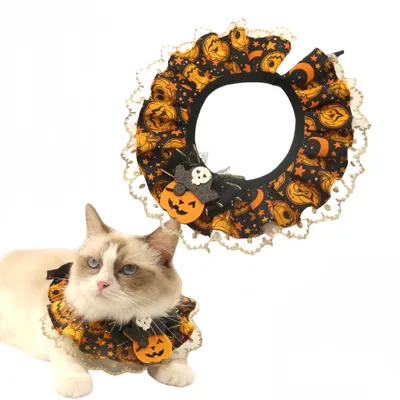 FurryFusion Collier en dentelle pour chat citrouille d'Halloween FurryFusion Collier en dentelle pour chat citrouille d'Halloween