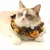 FurryFusion Collier en dentelle pour chat citrouille d'Halloween