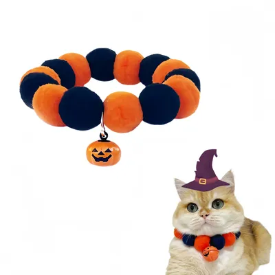 FurryFusion Collier d'Halloween pour chat avec pendentif citrouille FurryFusion Collier d'Halloween pour chat avec pendentif citrouille