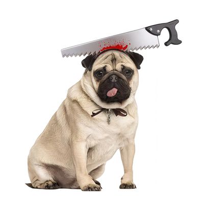 FurryFusion Coiffe d'Halloween pour chien à tête de scie