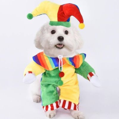 Coco Pup Vêtements pour chiens Jeux de rôle d'Halloween