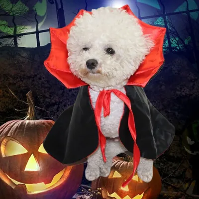 Coco Pup Cape d'Halloween pour Animaux Noir Rouge