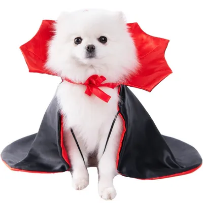Coco Pup Cape d'Halloween pour Animaux Noir Rouge