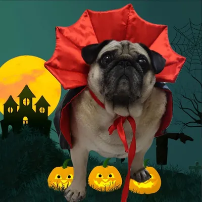 Coco Pup Cape d'Halloween pour Animaux Noir Rouge