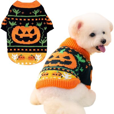 PetTribes Déguisement Halloween pour Chien - Taille M