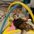 Tente de jeu pour chat avec boule cloche