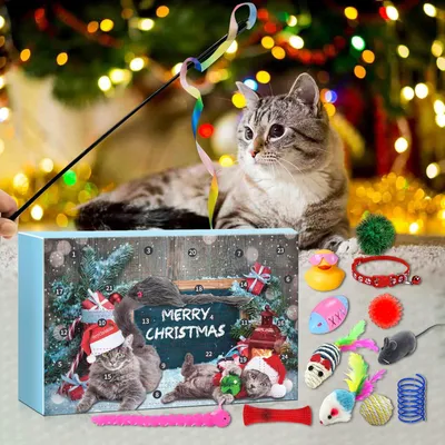 Calendrier de l'Avent pour chats - avec jouets pour chats