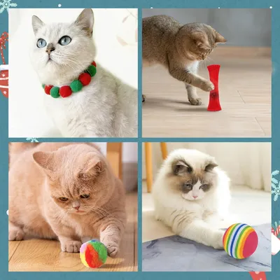 Calendrier de l'Avent pour chats - avec jouets pour chats
