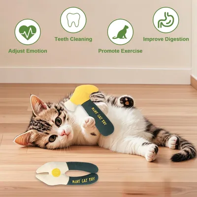 Jouets interactifs pour chats à l'herbe à chat