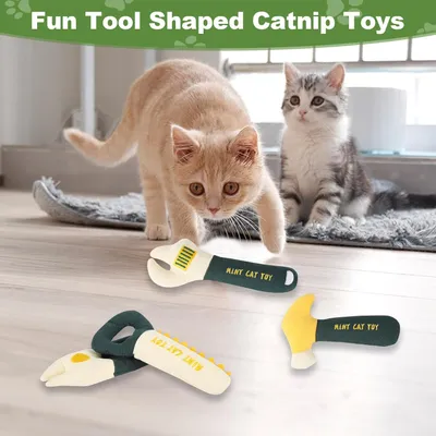 Jouets interactifs pour chats à l'herbe à chat