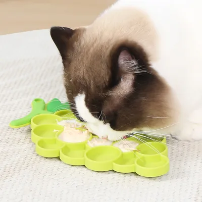 Tapis à lécher pour chat en forme de raisin