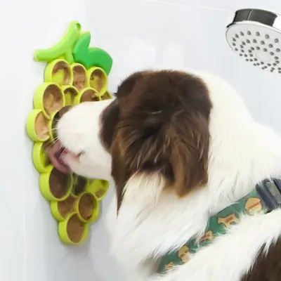 Tapis à lécher pour chat en forme de raisin