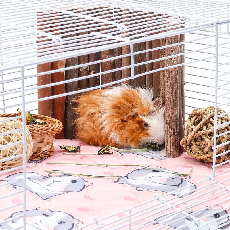 Tapis de cage imperméables pour cochons d'Inde
