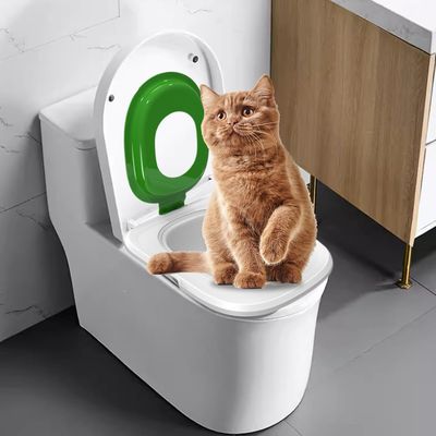 Système d'apprentissage de la propreté pour chat