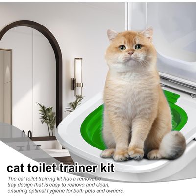 Reitlaze Sistema de entrenamiento para el uso de la caja de arena gatos