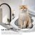 Système d'apprentissage de la propreté pour chat