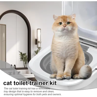 Système d'apprentissage de la propreté pour chat