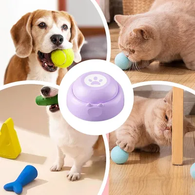 Boutons pour chien, boutons d'enregistrement vocal