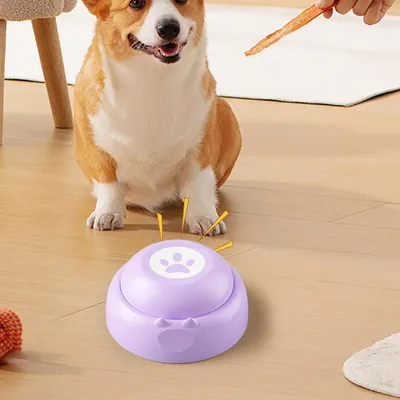 Boutons pour chien, boutons d'enregistrement vocal