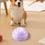 Boutons pour chien, boutons d'enregistrement vocal