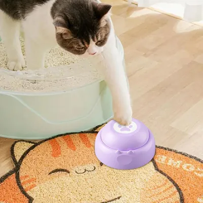 Boutons pour chien, boutons d'enregistrement vocal