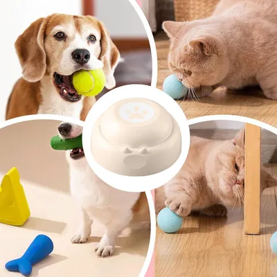 Boutons pour chien, boutons d'enregistrement vocal