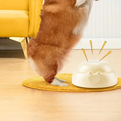 Boutons pour chien, boutons d'enregistrement vocal