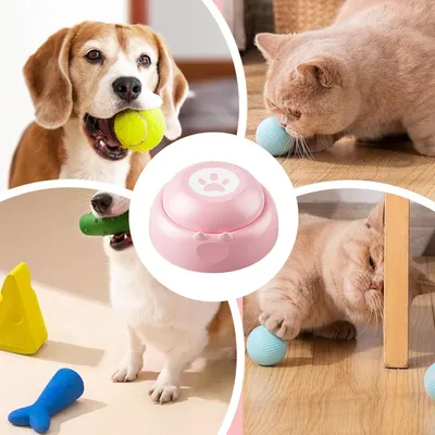 Boutons pour chien, boutons d'enregistrement vocal