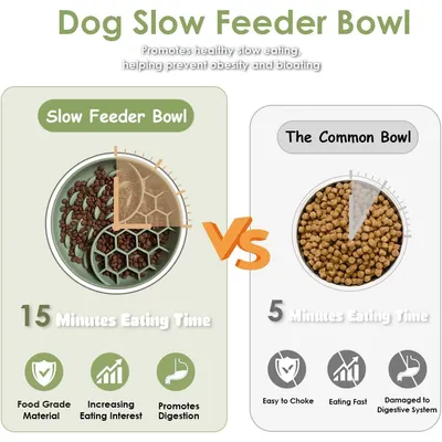 Distributeur d'aliments lents pour chiens avec ventouse