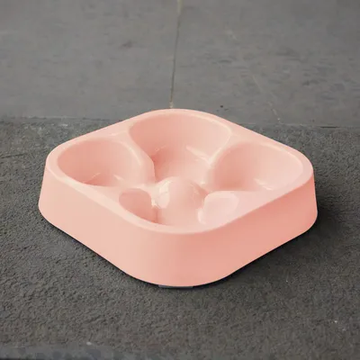 Mangeoire lente pour chien, motif trèfle à quatre feuilles