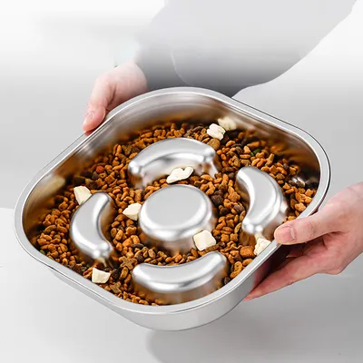 Gamelle pour chien à alimentation lente, en acier inoxydable