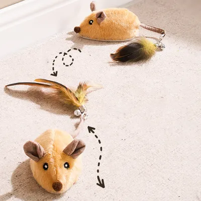 Jouets interactifs pour chats - avec lumières LED