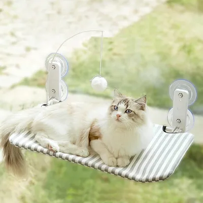 Étagères pour chats pliables et murales