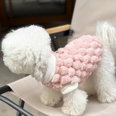 Pull polaire double face pour chat