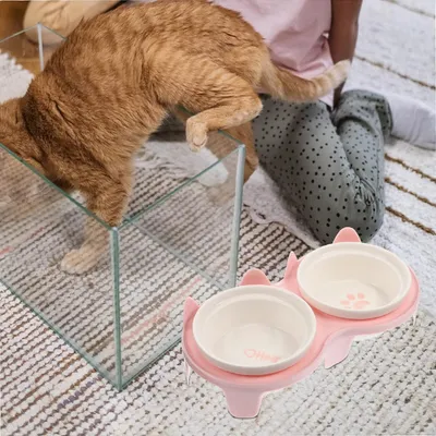 Mangeoire pour chat en céramique avec support antidérapant