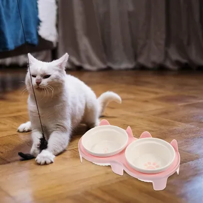 Mangeoire pour chat en céramique avec support antidérapant