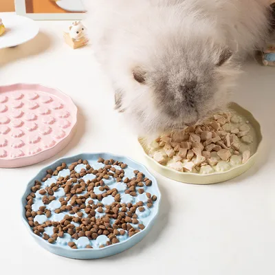 Reitlaze Keramik-Fressnapf für Katzen mit langsamer Futteraufnahme