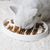 Mangeoire pour chat, design en arête de poisson