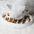Mangeoire pour chat, design en arête de poisson