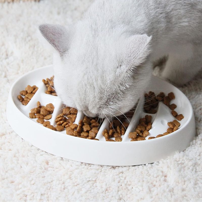 Mangeoire pour chat, design en arête de poisson