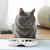 Mangeoire pour chat, design en arête de poisson