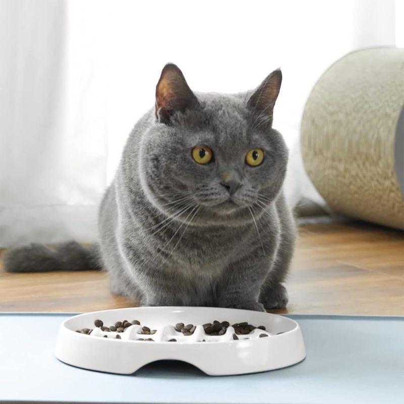 Mangeoire pour chat, design en arête de poisson