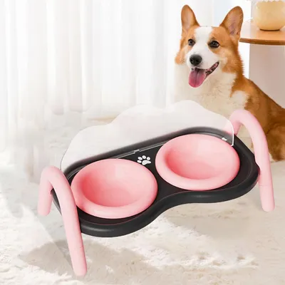 Doubles Gamelles surélevées en céramique pour chat