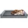 Lit pour chien XXL