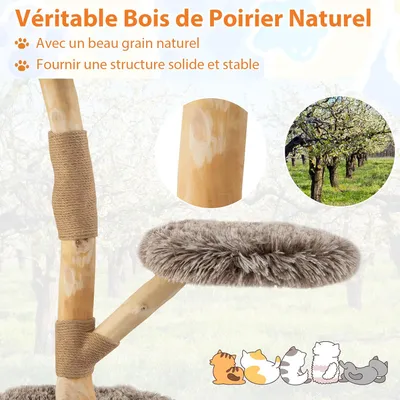 Arbre à chat : tour multi - niveaux, poteaux à gratter, corde, plateforme. Arbre à chat : tour multi - niveaux, poteaux à gratter, corde, plateforme.