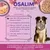 Osalia – Soin Dermatologique pour Chien – Laboratoire Osalia