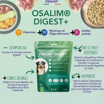Osalia – Complément Digestif pour Chien – Laboratoire Osalia
